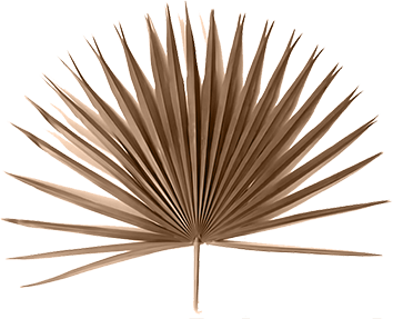 Accent Logo