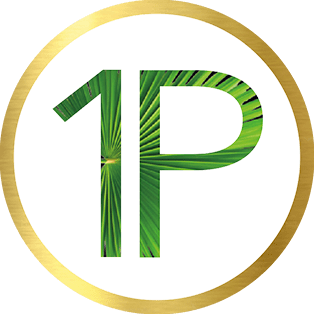 1 Palm Realty